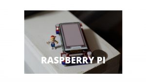 raspberry