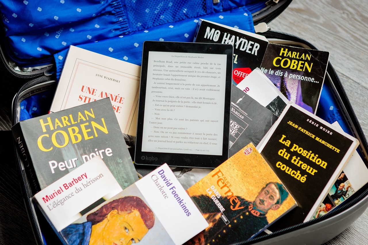 Fin_du_site_1lib_fr_:_les_alternatives_pour_les_amateurs_de_lecture_en_ligne